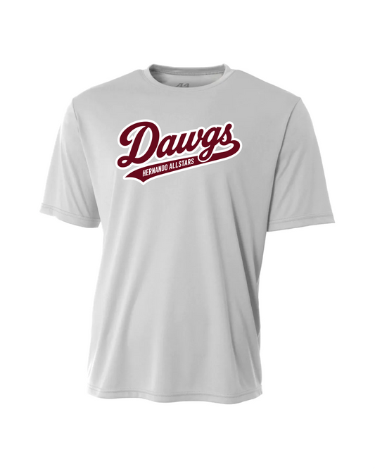 Dri-Fit Performance T-Shirt - Silver
